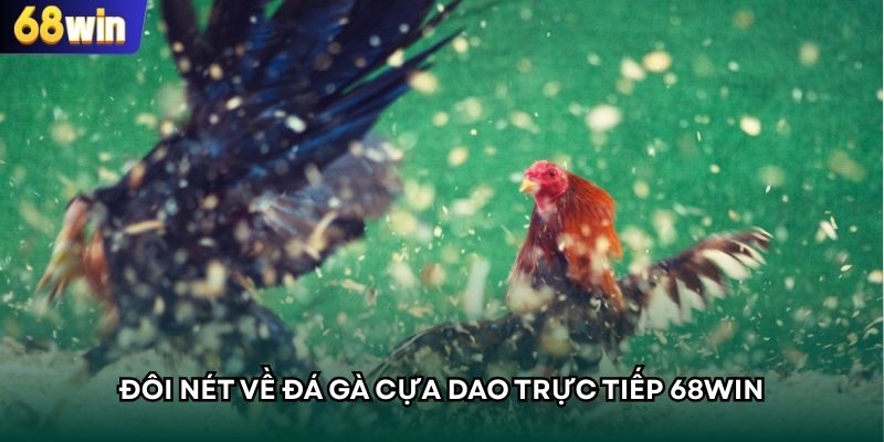 Giới thiệu ngắn về loại hình đá gà cựa dao trực tiếp 68WIN