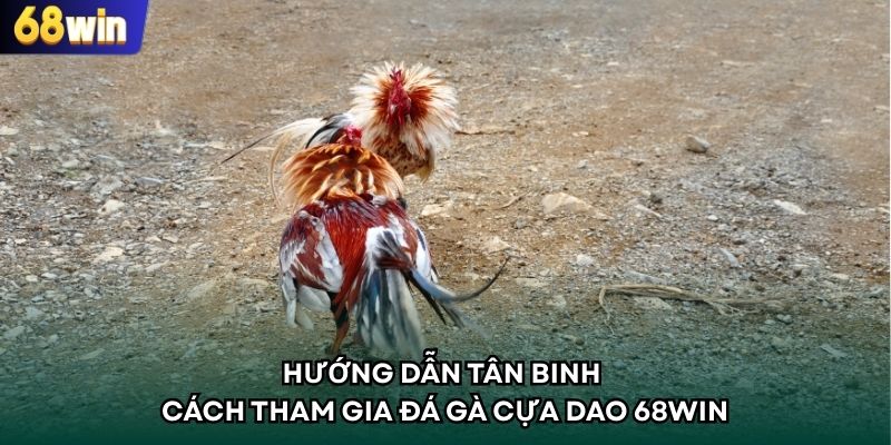Chi tiết cách chơi đá gà cựa dao trực tiếp 68WIN