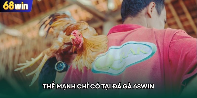 Ưu điểm lớn khi hội viên cá cược tại nhà cái